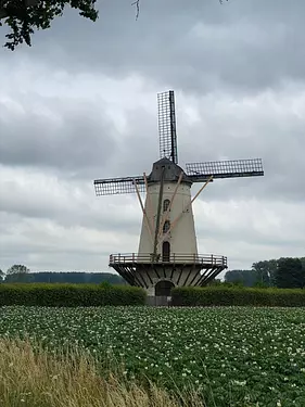 a windmill in a field