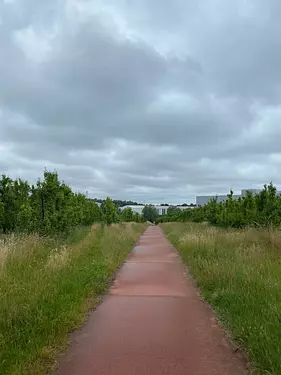 a dirt road with grass and trees on either side of it