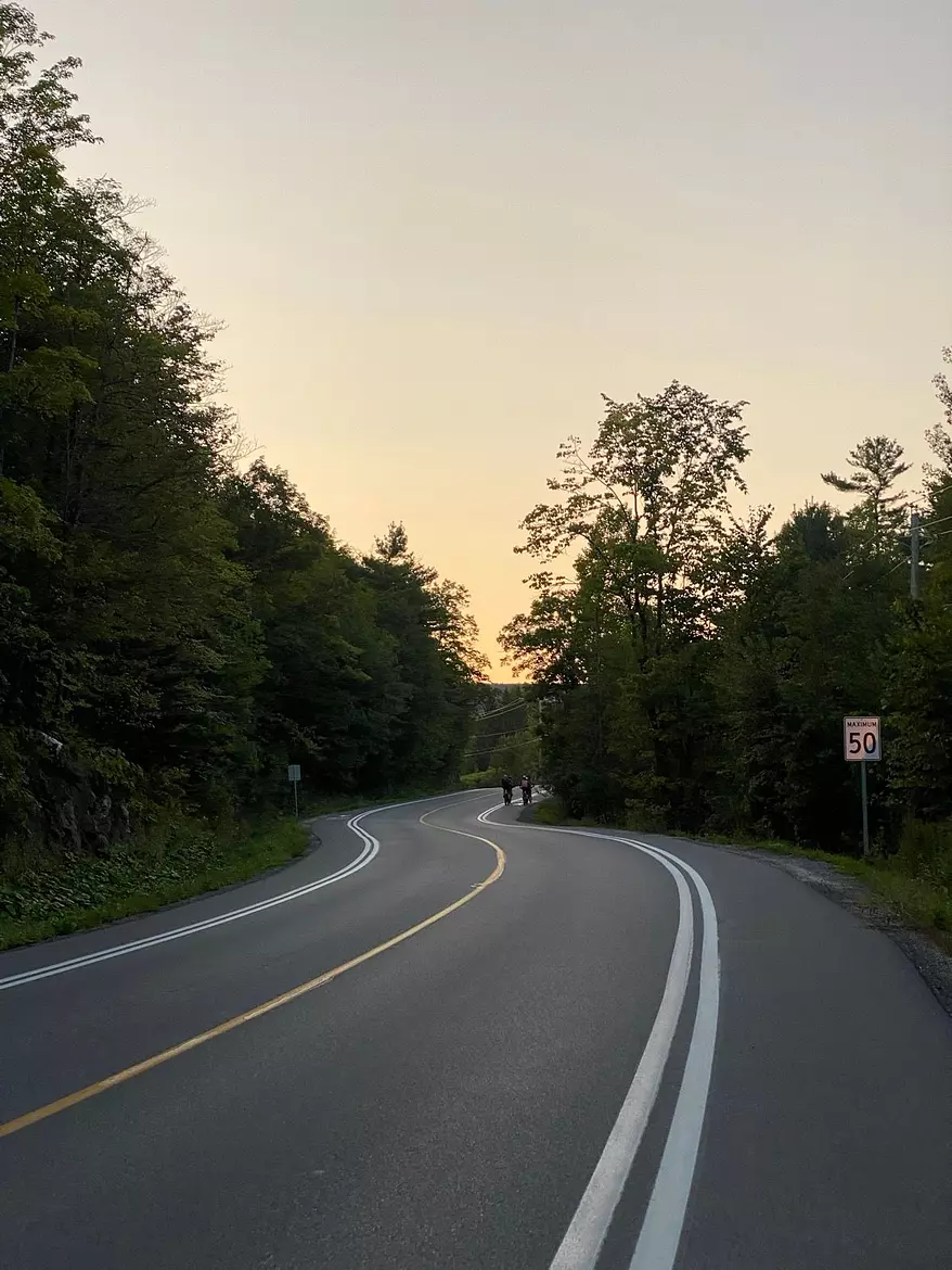 a road with trees on the side