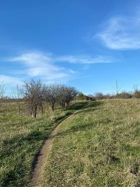 single track beauty