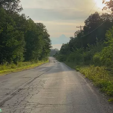 a road with trees on the side