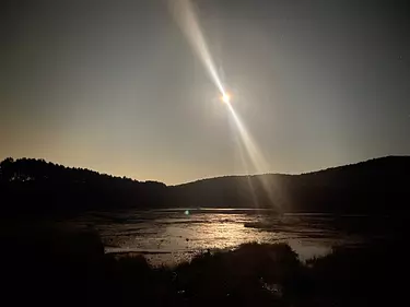 lake lit by the moon