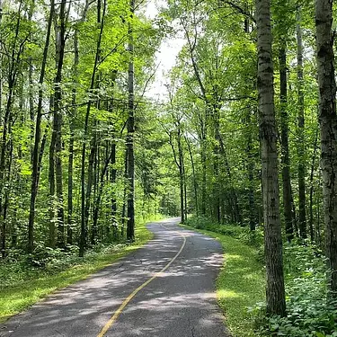 Riding around lush trees on bike path