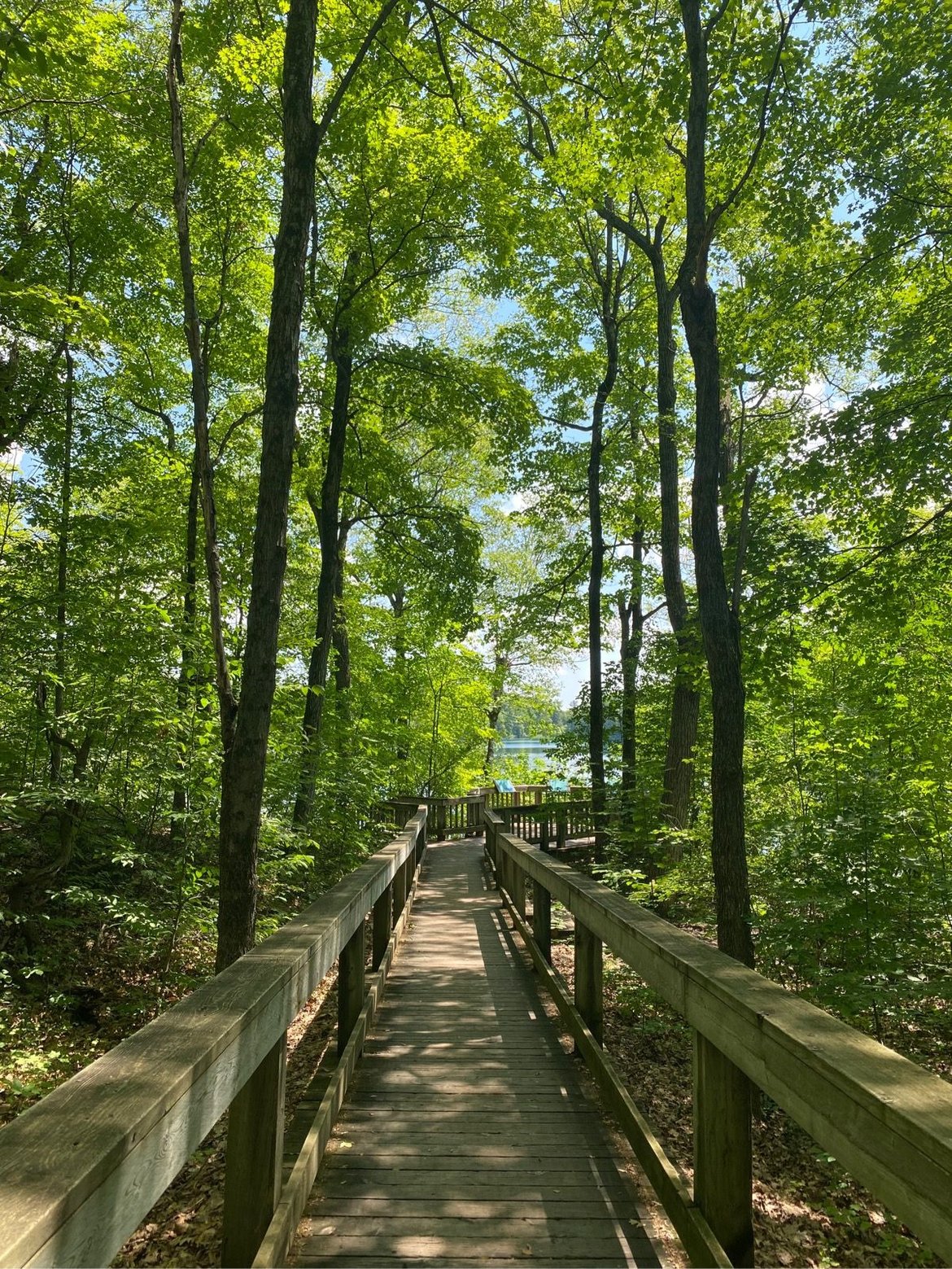 Pink Lake in Gatineau Park