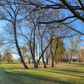 Britannia Park