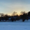 a snowy field with trees and a sunset