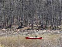 a person in a red boat in a river with trees