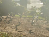 there's a party going on