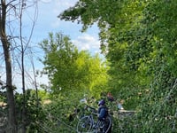 a group of people riding bikes on a trail in the woods