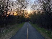 a road with trees on the side