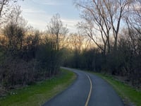 a road with trees on the side