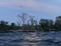 a body of water with trees and a sunset in the background