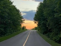 a road with trees on the side