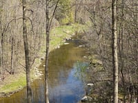 a small river in a forest
