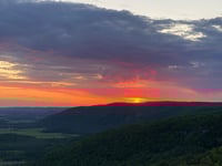 a landscape with trees and a sunset
