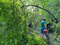 a group of people riding bikes through a forest