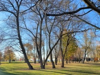 Britannia Park