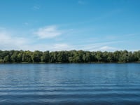 a body of water with trees in the back