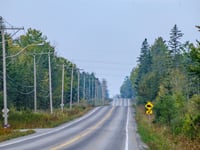 the road is full of cars, had to wait for like 5 minutes to take this picture