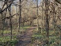 early spring is the perfect time to visit this