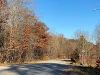 a road with trees on the side