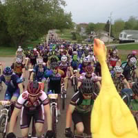 Spring Chicken Race 🐤