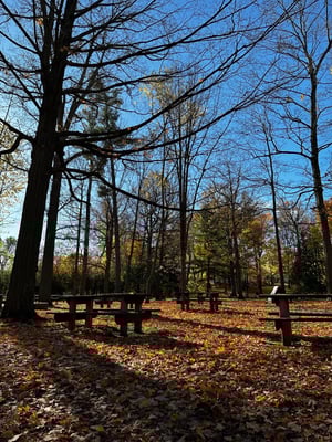 Vincent Massey and Beyond