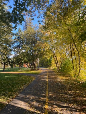 Vincent Massey and Beyond