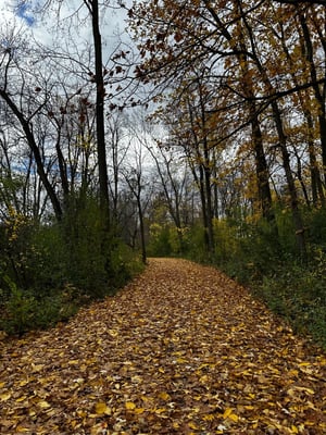 Vincent Massey and Beyond