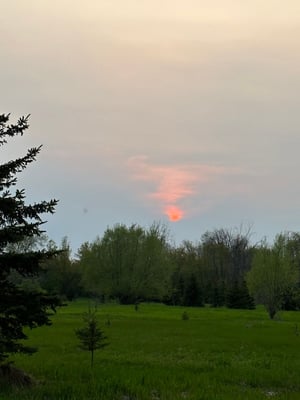 Wesley Clover & Shirley's Bay