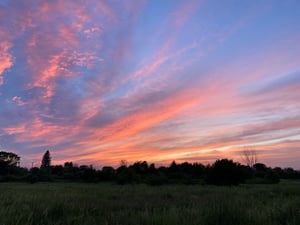 a field with trees and a colorful sky