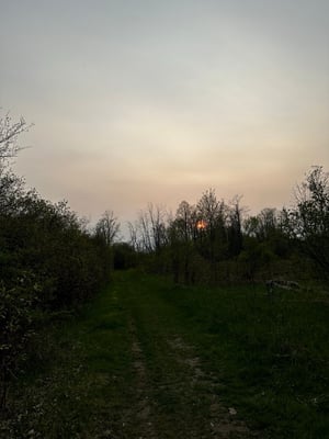 Wesley Clover & Shirley's Bay