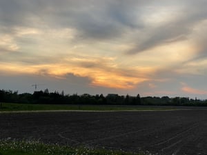 Experimental Farm and Carlington Woods