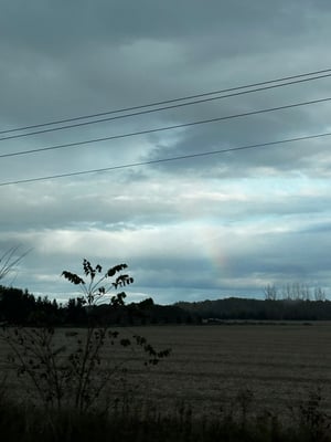 Hopetown Classic Loop