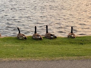 Easy Loop around the Canal