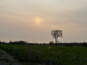 Wesley Clover & Shirley's Bay