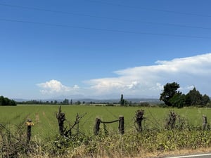 Vuelta San Pedro 200