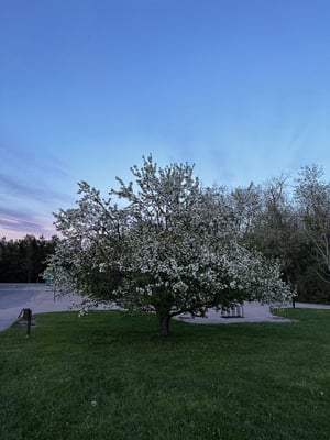 Pink Lake in Gatineau Park