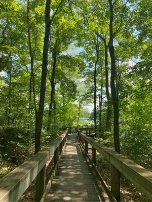 Pink Lake in Gatineau Park