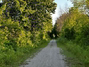 Ottawa vers Carleton Place et Smiths Falls