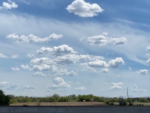 Wesley Clover & Shirley's Bay