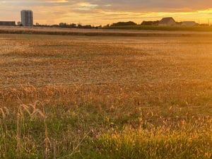 Wesley Clover & Shirley's Bay