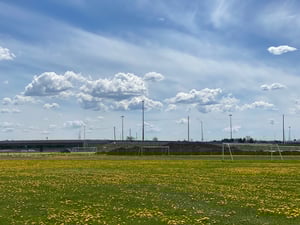 Wesley Clover & Shirley's Bay