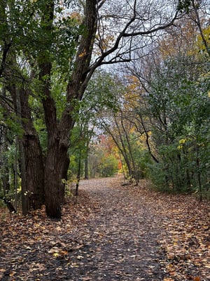 Vincent Massey and Beyond