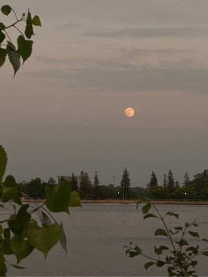 Easy Loop around the Canal