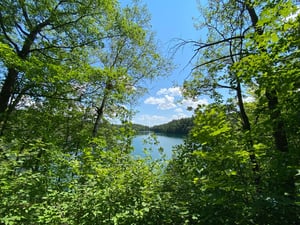 Pink Lake in Gatineau Park