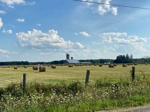 a field of grass with a house in the background