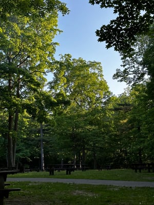 Vincent Massey and Beyond