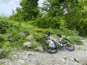 East End ➡️ Petrie Island