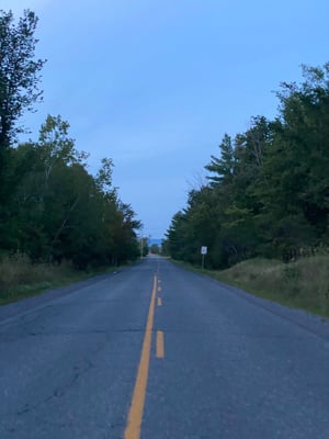 a road with trees on the side